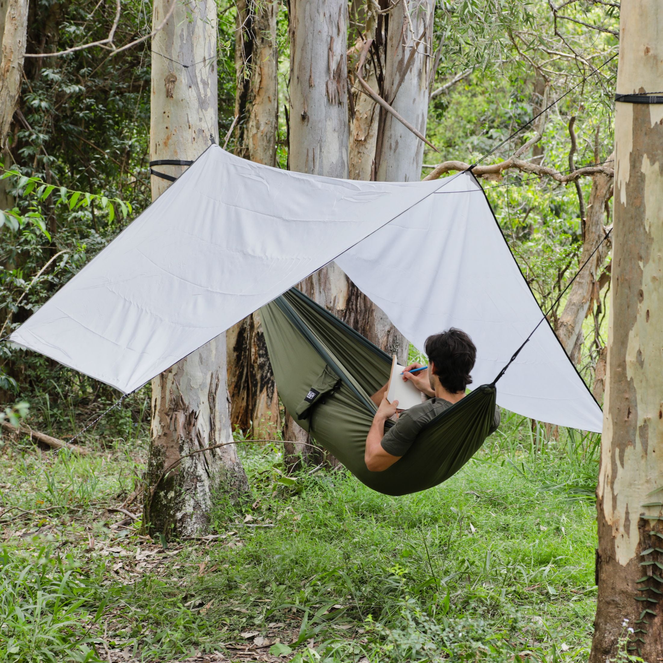 Tarp